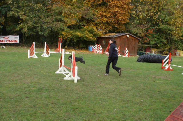 agility 2011-10-30
